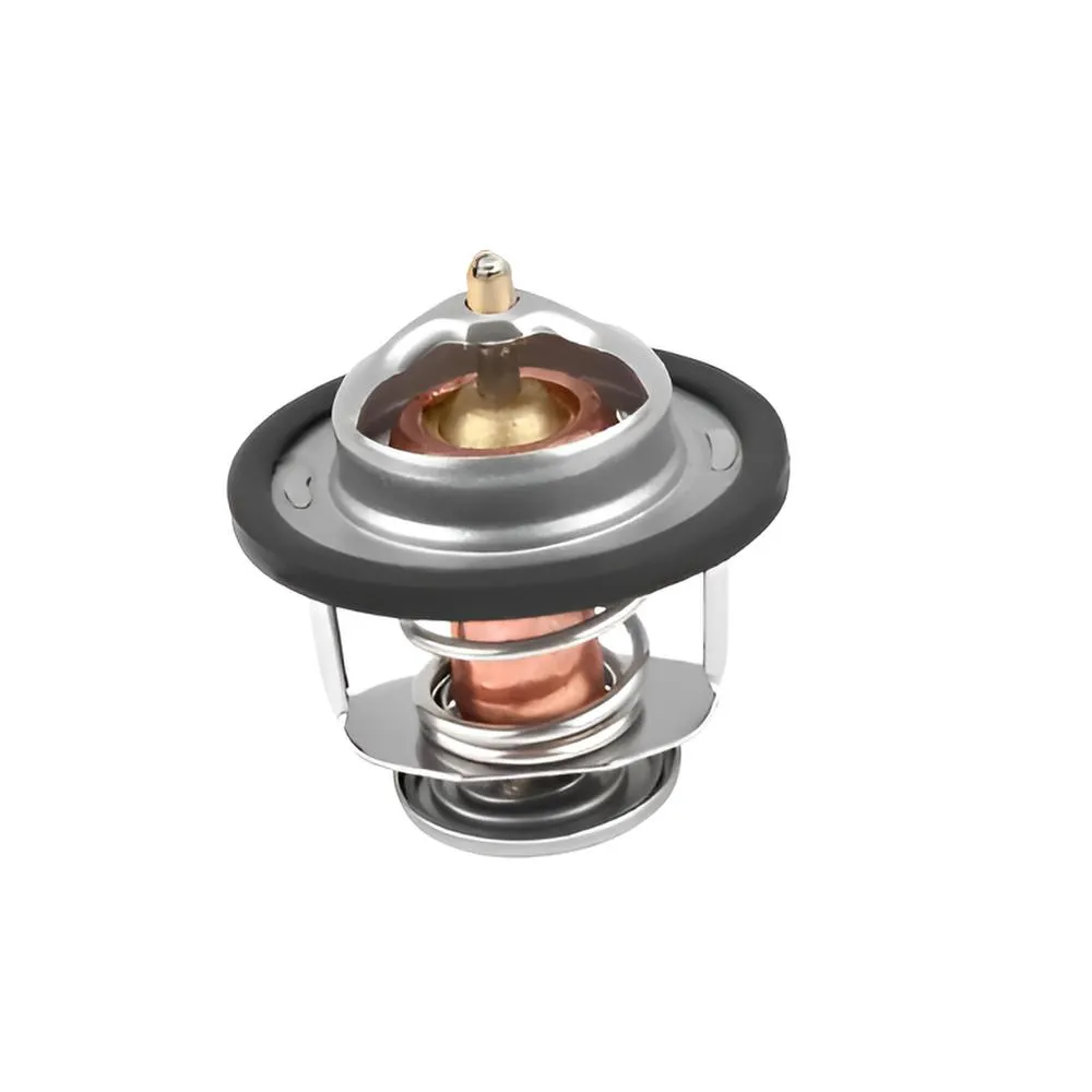 Termostato para ZX Auto Grand Tigger 2.2