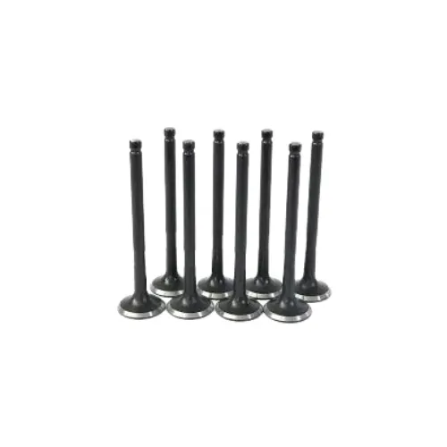 Juego de valvulas de admision Valvulas de Admision Chery Fulwin 1.5