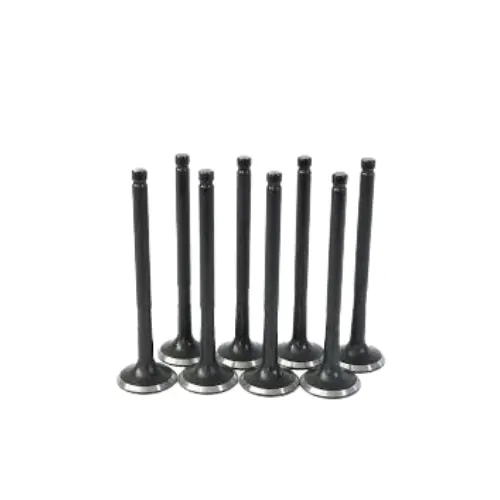 Valvulas de Admision Chery Arrizo 3