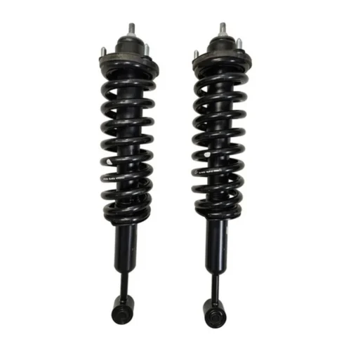 Amortiguadores Delanteros Completo Jac T8 Diesel 2.0