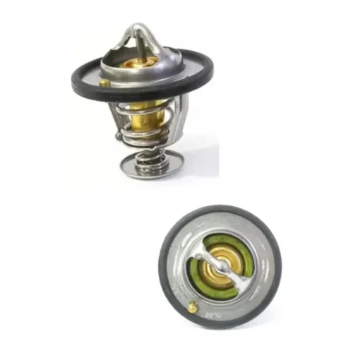 prod-R365-3345212710-1000x1000 Termostato Foton Midi 1.6