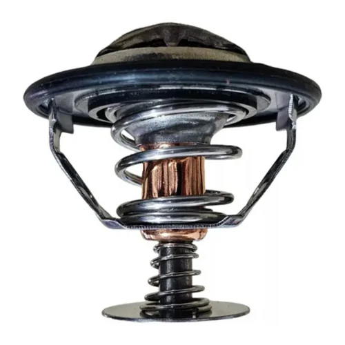 prod-R365-3384615440-1000x1000 Termostato Foton Aumark 613 Euro Iv