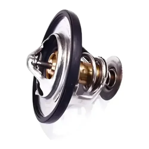 Termostato Maxus T60/t80 2.8