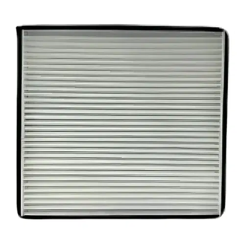 prod-R365-3506491608-1000x1000 Filtro Polen Midi Truck New Foton 1.3