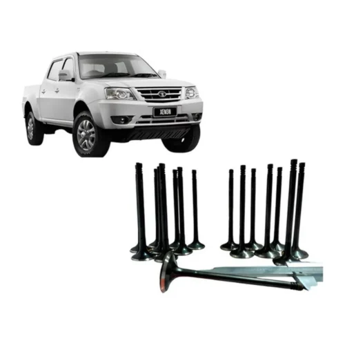 Valvulas Adm Y Esc Kit (16 Unid) Tata Xenon 2.2